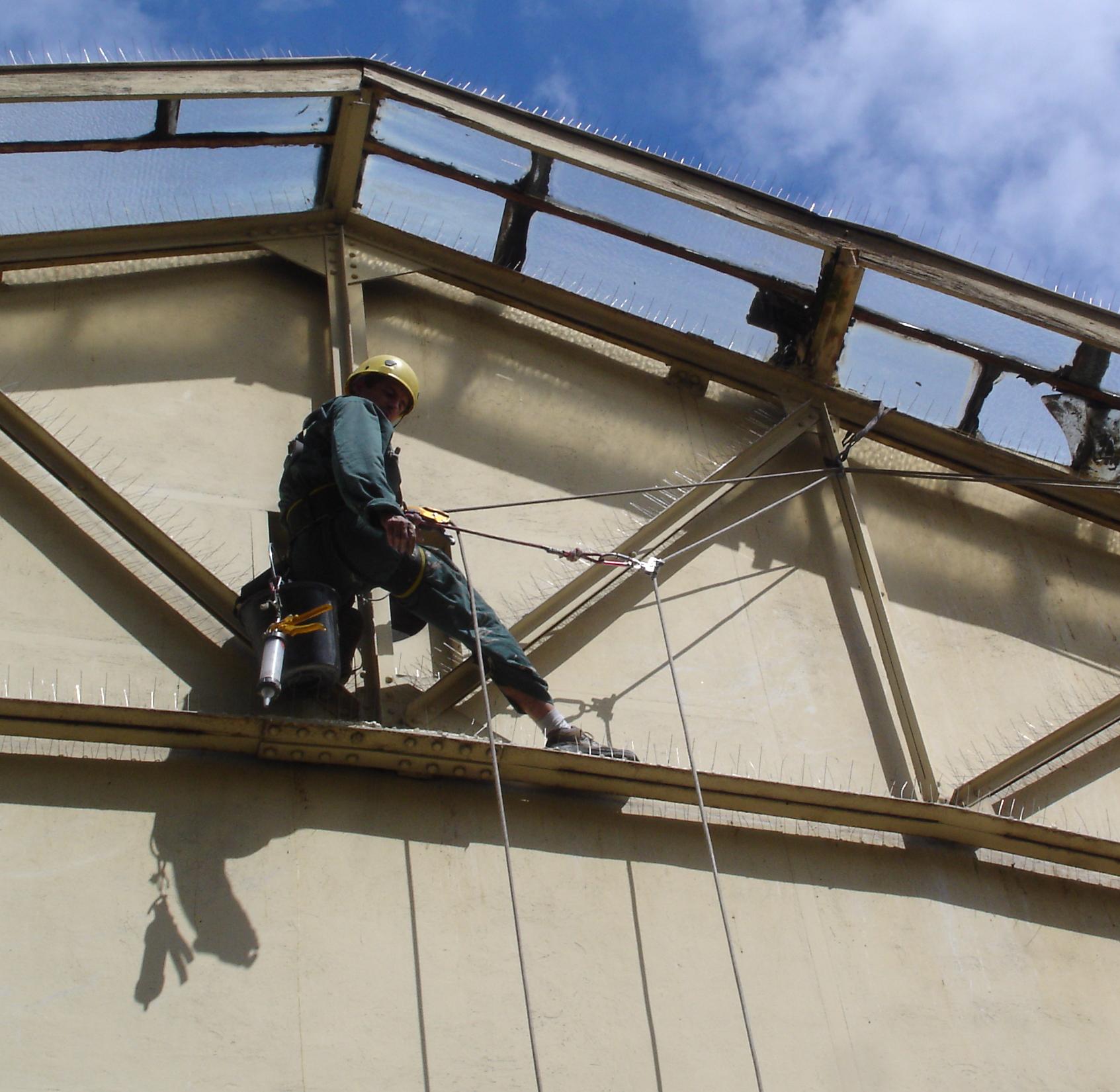 pose de pics anti pigeons travaux acrobatiques lyon